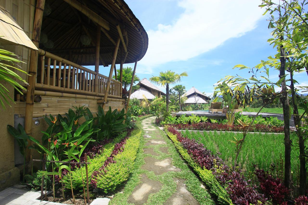Padi Bali Eco Villas Пайанган Екстериор снимка