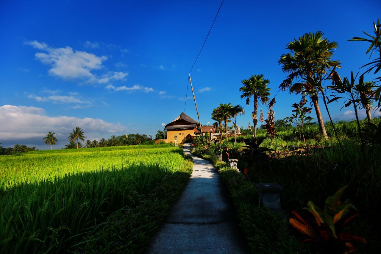 Padi Bali Eco Villas Пайанган Екстериор снимка